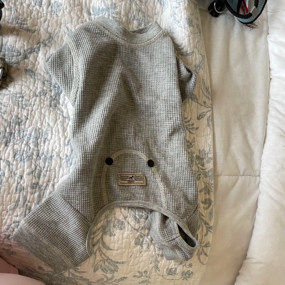 Dog pjs